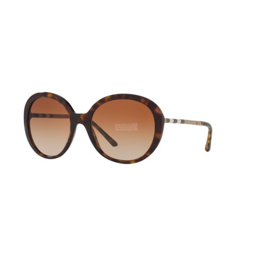 0BE4239Q - DARK HAVANA - 300213