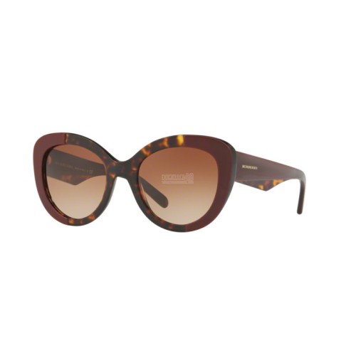 0BE4253 - TOP BORDEAUX ON DARK HAVANA - 365513