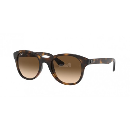 Occhiale da Sole Ray-Ban 0RB4203 - SHINY HAVANA 710/13