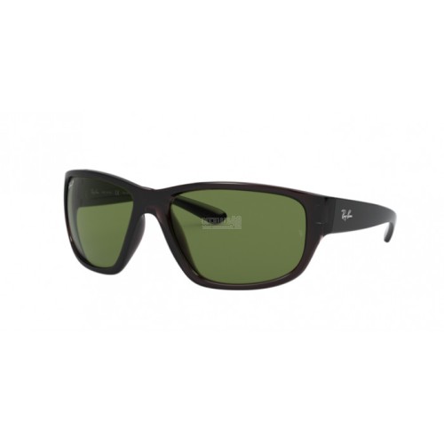 Occhiale da Sole Ray-Ban 0RB4300 - TTRASPARENT GREY 705/O9