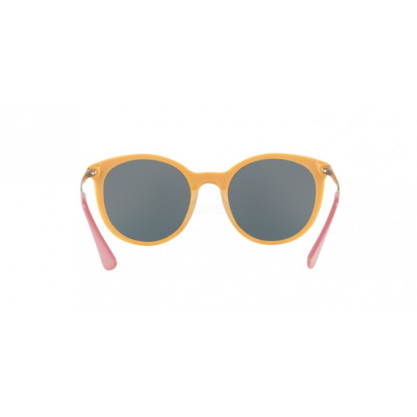 0PR 17SS-VH72D2 - 6