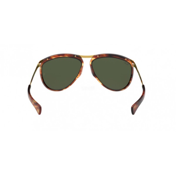 0RB2219-954/31 - 6