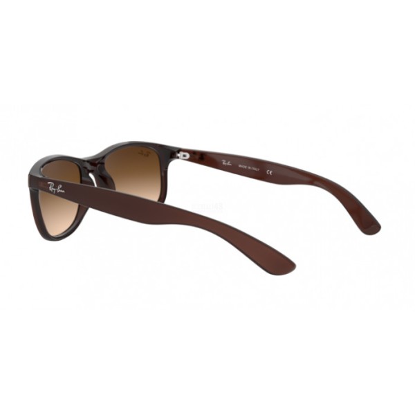 0RB4202-607313 - 4