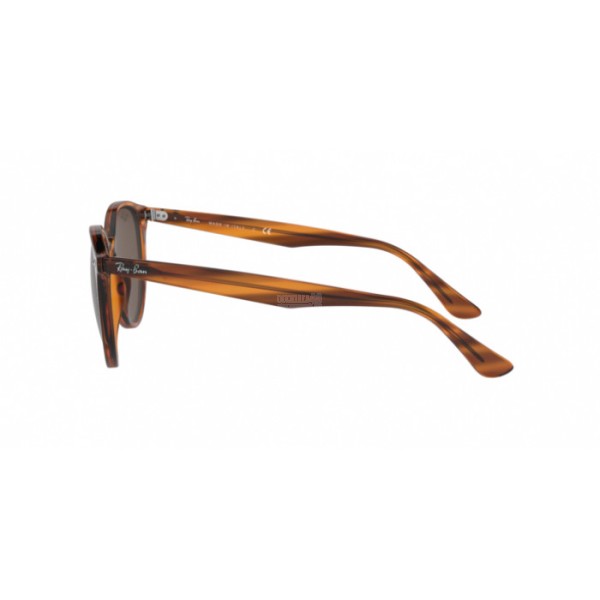 0RB4305-820/73 - 3